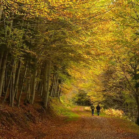 Cumbre Del Sarrio By Bevalle * Panticosa